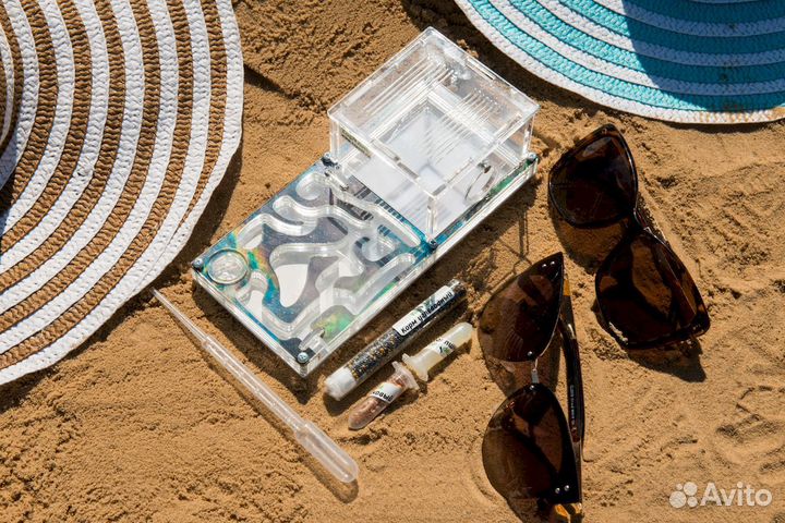 Муравьиная ферма / Формикарий