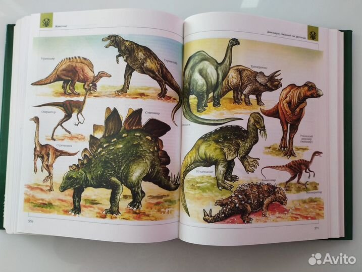 Энциклопедия для детей. Биология.Аванта