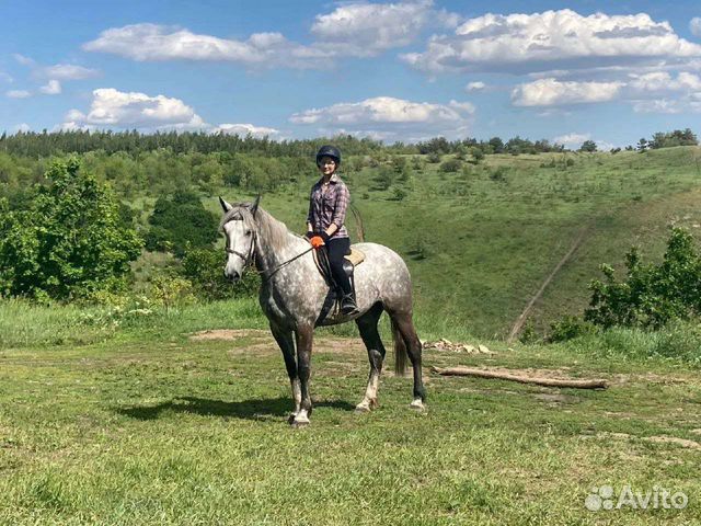 Конные прогулки