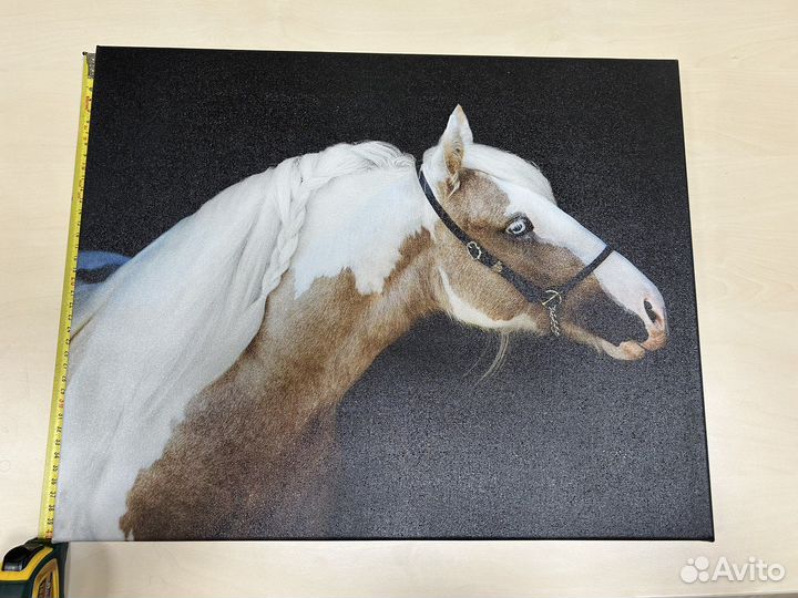 Картина на холсте лошадь