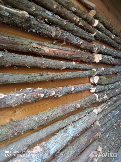 Можжевельник стволы