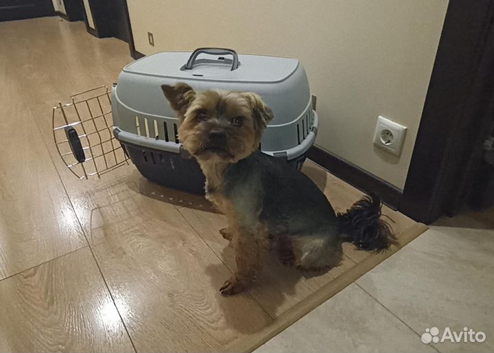 Переноска для собак
