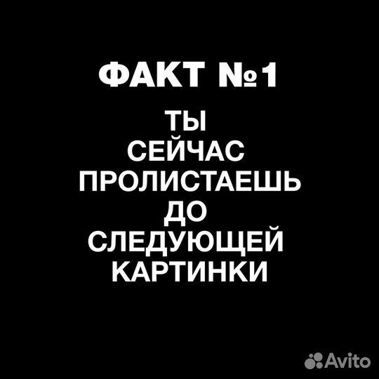 Директолог / Контекстная реклама /Яндекс Директ