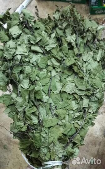 Веник березовый