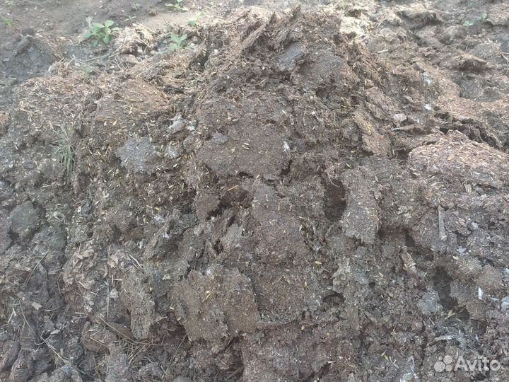 Куринный помет