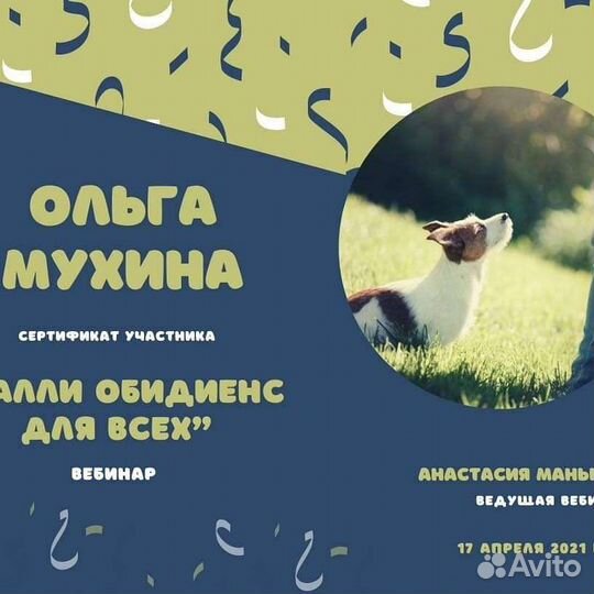 Услуги кинолога