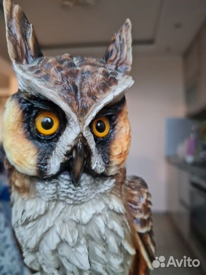 Сова фарфора