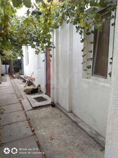 1-к. квартира, 23,4 м², 1/2 эт.