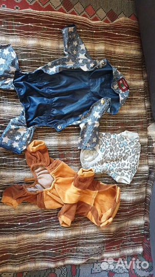 Одежда для собак мелких пород