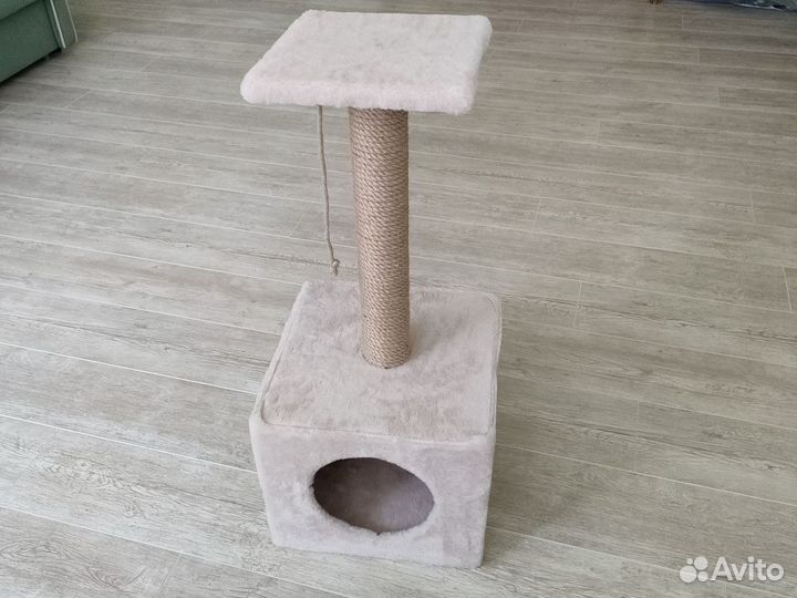 Когтеточка