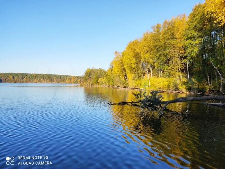 Участок 10 сот. (ИЖС)