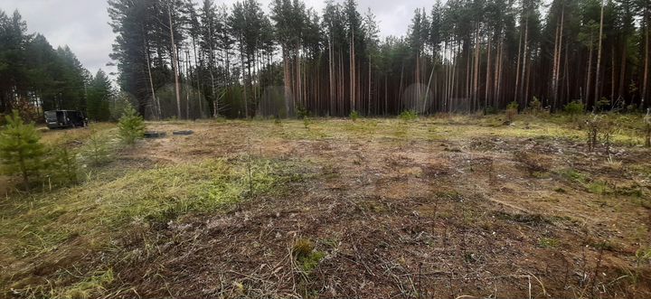 Участок 16 сот. (ИЖС)