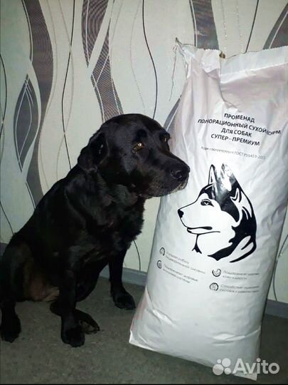 Сухой корм для собак Лабрадор