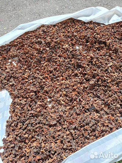 Курага сушенная