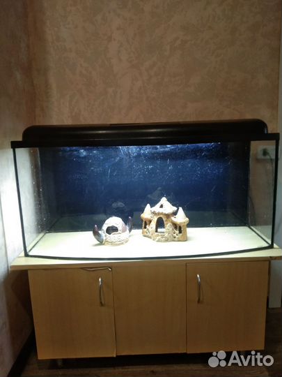 Аквариум