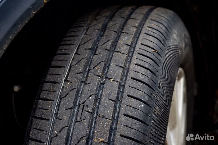 Cordiant Gravity 205/55 R16