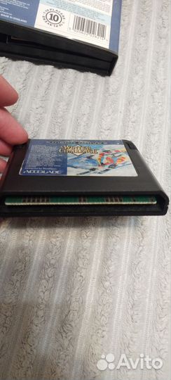 Картридж Сега winter