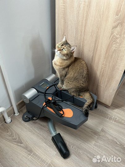 Тренажер степпер