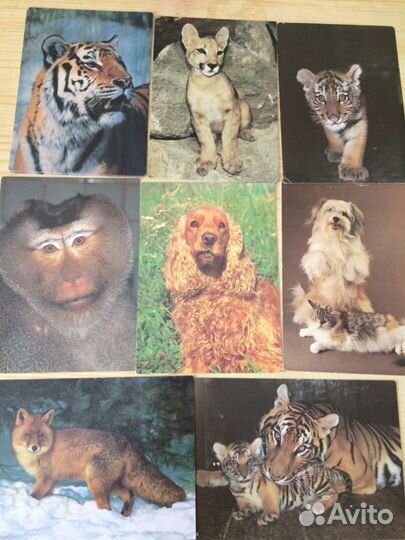 Открытки, наборы 50-80-х гг