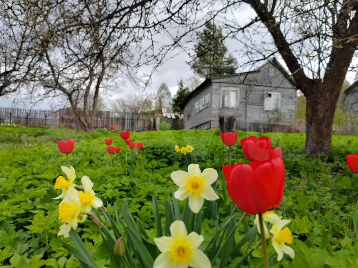 Дача 20 м² на участке 6,7 сот.