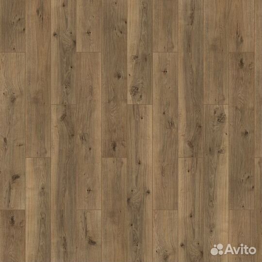 Ламинат MaxWood Дуб Эстинн dypv253
