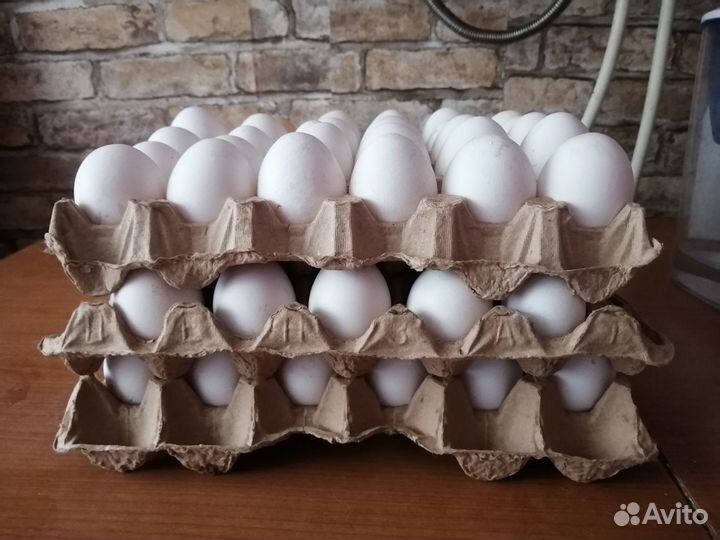 Деревенские белые куриные яйца