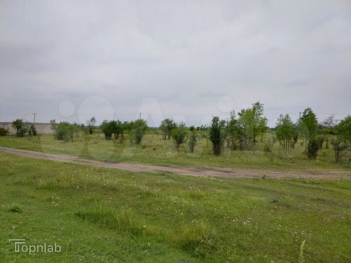 Участок 27,6 сот. (СНТ, ДНП)