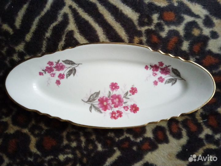 Селедочница редкая