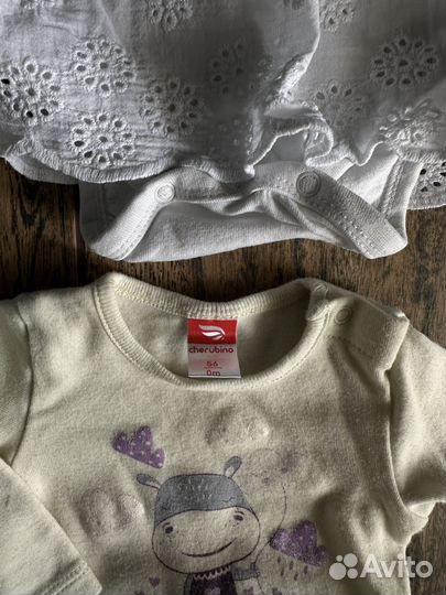 Боди Pelican и Син