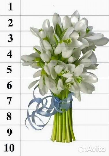 Подготовка к школе