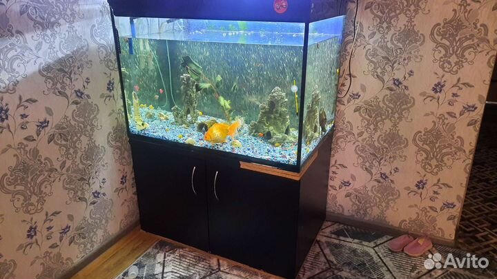 Аквариум