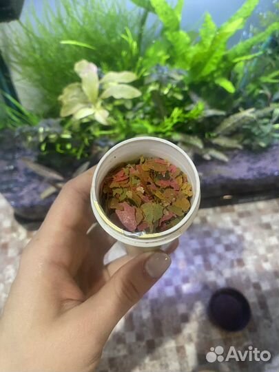 Корм для аквариумных рыб