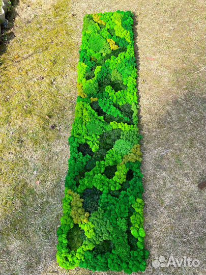 Панно из стабилизированного мха/ картины из мха