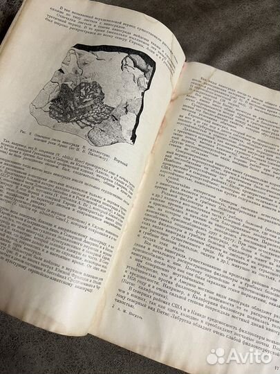 Виноградарство, Негруль Сельхозгиз, 1959