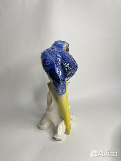 Попугай Karl ens