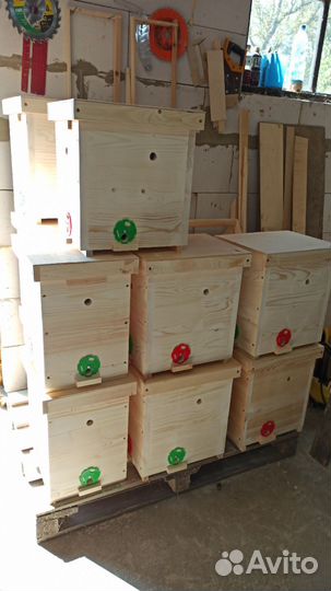 Улей-нуклеус