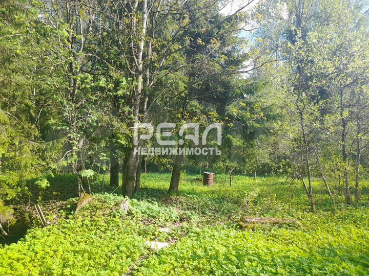 Участок 15 сот. (личное подсобное хозяйство (лпх))