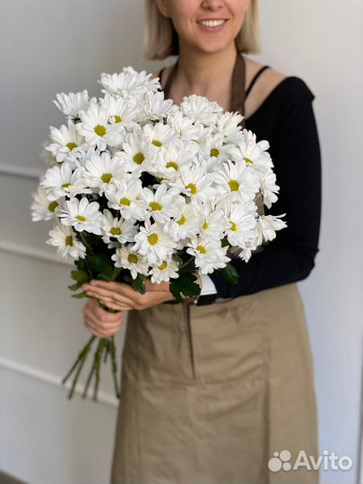 Хризантема белая ромашковая. 15, 21,25,31 и 51 шт