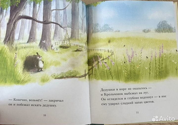 Большой сюрприз для маленького кролика. Книга