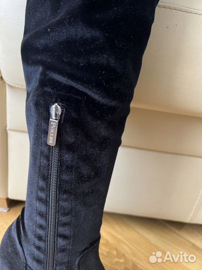Pollini 39 p