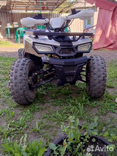 Квадроцикл motoland wild 125