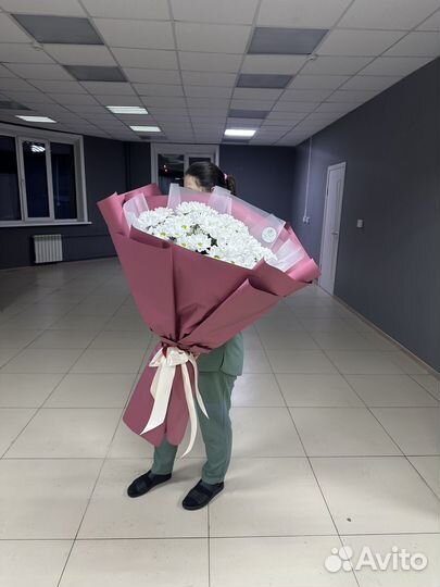 Гигант из ромашек