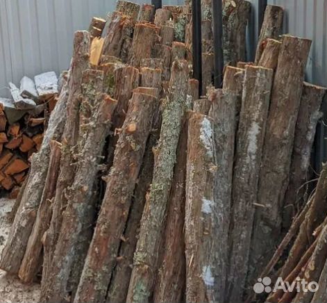 Можжевельник стволы купить в Нижнем Новгороде | Товары для дома и дачи ...