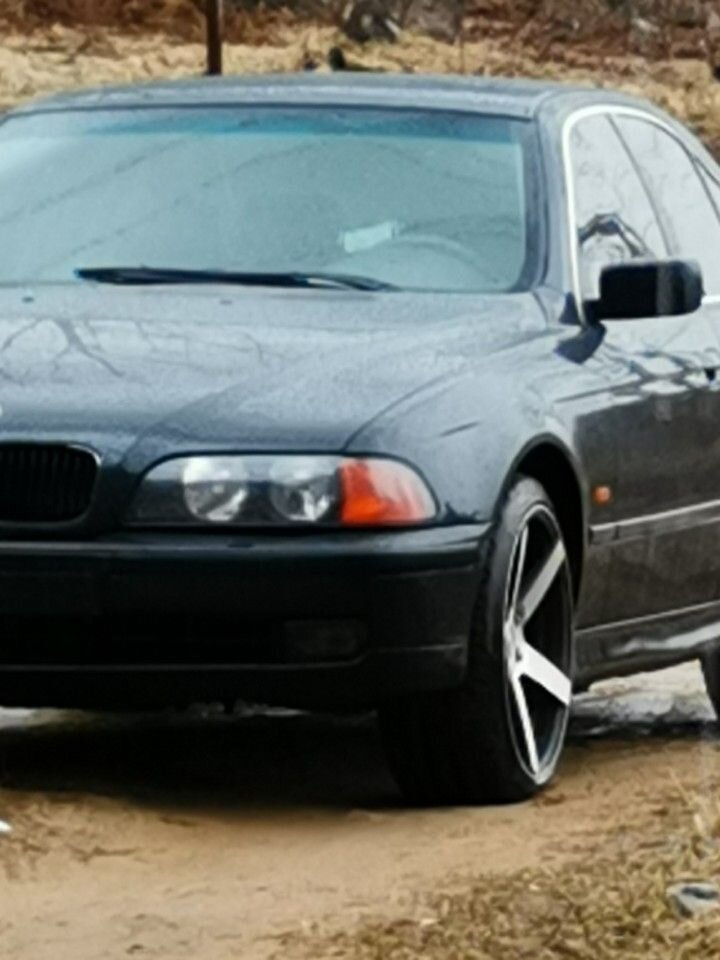 BMW 5 серия: фото владельца
