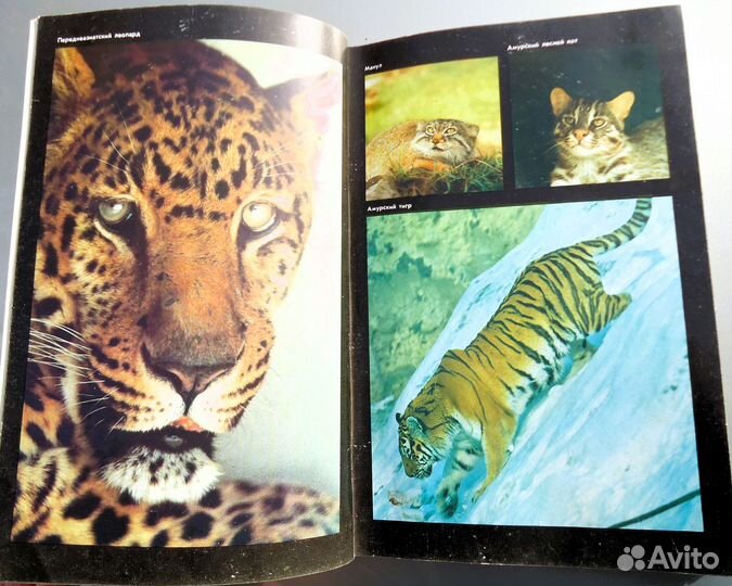 Красная книга