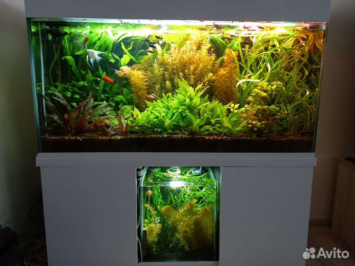 Аквариум 300 литров
