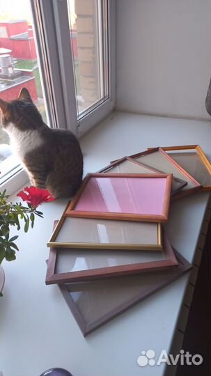 Рамка для фотографий a4