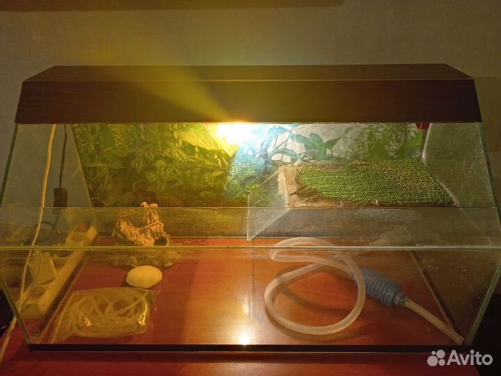 Аквариум
