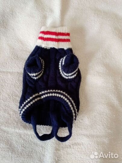 Одежда для маленькой собачки