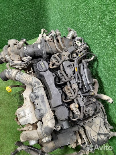 Двигатель 9h0z ситроен c4 дизель 1.6